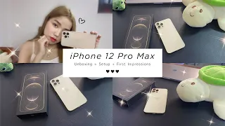  iPhone 12 Pro Max Unboxing | Setup | First Impressions