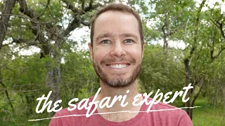 Who is The Safari Expert? Meet wildlife photographer and safari guide, Villiers Steyn.