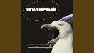 Metamorphosis