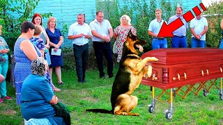 The dog came to his owner's funeral. What happened next made everyone cry!