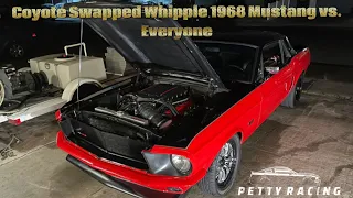 Coyote Swap Whipple 1968 Mustang vs EVERYONE!!!