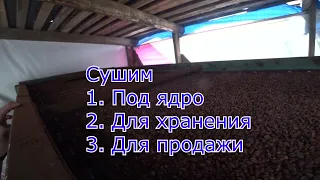 Услуги Сушки КЕДРОВОГО ОРЕХА