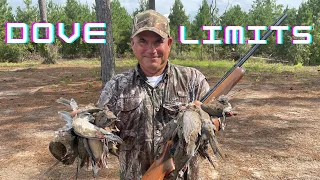 Louisiana Dove Hunt (Catch*Clean*Cook) Pot Roasted Doves, Smothered Cabbage W/Smoked Sausage & Pork