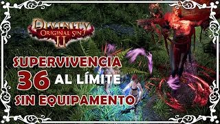 ⚔️ DOS2: Supervivencia al límite "Alice Alisceon y los maestres blancos" Co-op