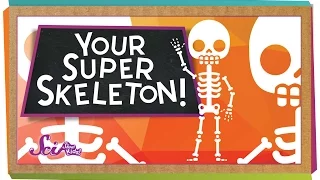 Your Super Skeleton!