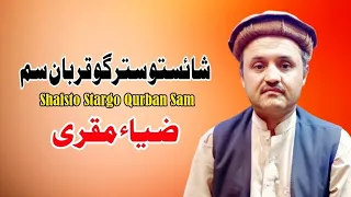 Shaisto Stargo Qurban Sam | Zia Muqurai Pashto Song 2024 | New Pashto Song | Japani Ghazal |