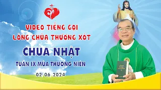 VIDEO TIẾNG GỌI LÒNG CHÚA THƯƠNG XÓT | CHÚA NHẬT TUẦN IX MÙA THƯỜNG NIÊN | 02/06/2024