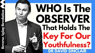 WHO Is The OBSERVER That Holds The Key For OUR YOUTHFULNESS? | Dr David Sinclair Interview Clips