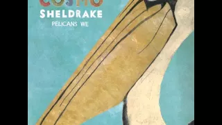 Cosmo Sheldrake - Pelicans We