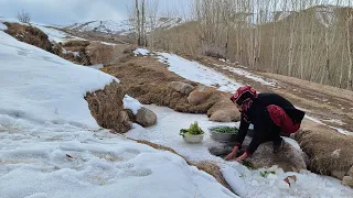 Cooking the leek Bolani | Daily routine village life in Afghanistan