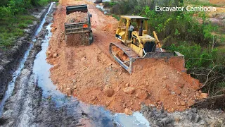 The Most Skills Heavy Caterpillar Dozer Working Building Foundation New Road Plantation Construction
