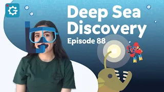 How Do Deep Sea Organisms Survive in the Depths of the Ocean? [Deep Sea Discovery]