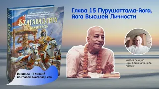 Краткий обзор глав Бхагавад Гиты как она есть. Глава 15 Пурушоттама-йога, йога Высшей Личности