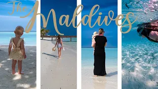 Our Family Trip to Nova Maldives in 4k: Snorkelling, Big Sharks, Whale sharks, Manta rays and more!