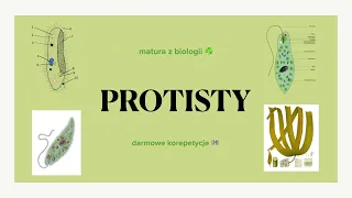 #8 Protisty - zwierzęce, roślinopodobne, grzybopodobne - matura z biologii 🌿 biologia liceum