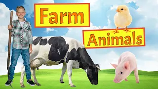 Los animales de granja en inglés. Vocabulario. Farm animals vocabulary!