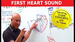 S1 Heart Sounds and Murmurs | First Heart Sound | Dr Najeeb🫀