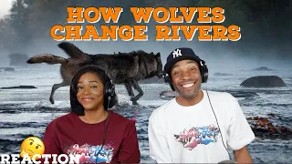 How Wolves Change Rivers {Reaction} | Asia and BJ React