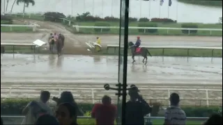 cancelan las carreras por problemas en la pista en el hipódromo camarero en p.r