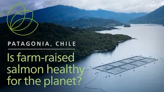 Nourishing the world with sustainably farmed salmon