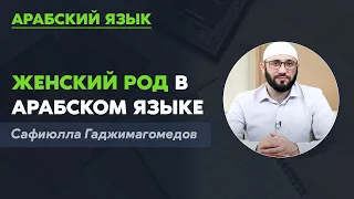 Женский род в арабском языке