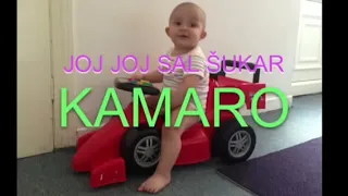 PAVLOVCE   KAMARO   JOJ JOJ SAL SUKAR