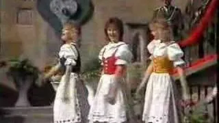 Lustige Musikanten in Prag - Moldaufinken Herz Schmerz Polka