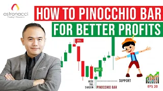 CKDF Ep20: Cara Profit Cepat di Gold dengan Candlesticks Pinocchio