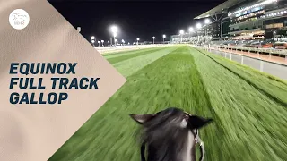 Meydan As Seen By Equinox! | World's Best Racehorse Rips Around Dubai Track | 2023 Sheema Classic
