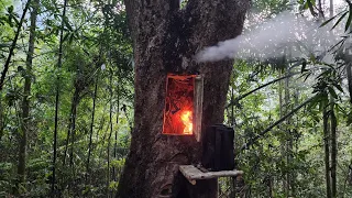 Building Survival shelter inside a million year old tree, overnight, fireplace / Bushcraft alone