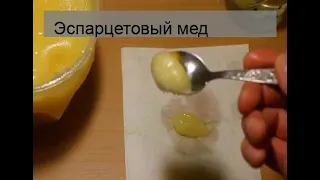 Эспарцетовый мед