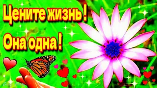 🥀🌈Доброго утра благословенного дня!🌺💓Красивое музыкальное пожелание 💓