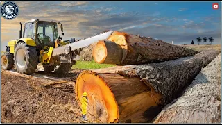 150 AMAZING Fastest Big Wood Chainsaw Machines Working At Another Level