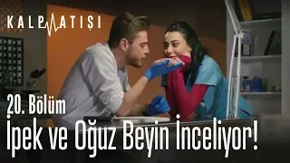 İpek ve Oğuz beyin inceliyor! - Kalp Atışı 20. Bölüm