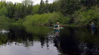 Newfoundland Trout Fishing Heaven (Cast after Cast Trout after Trout)