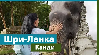 Шри-Ланка/ Канди/ Что посмотреть?