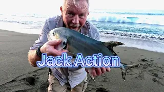 Costa Rican Jack Action- second day on the beach, first cast