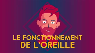 Le fonctionnement de l'oreille - Amplifon