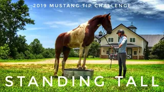 Standing Tall | 2019 Mustang TIP Challenge