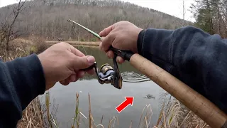 A Quick And SIMPLE Way To CATCH Crappie From The BANK! #fishing #fishingvideo