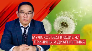 Мужское бесплодие. Ч.1 Причины и диагностика