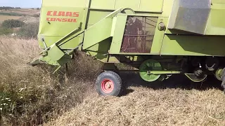 Робота січкарні комбайн Claas Consul