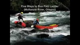 Five Ways to Run Fish Ladder (McKenzie River, Oregon)