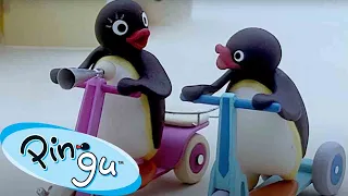 Pingu Surprises Everyone  🐧 | Pingu - Official Channel | Cartoons For Kids