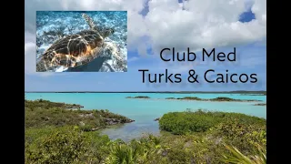 Turks and Caicos Club Med all inclusive. Lots of wildlife and beautiful beaches.