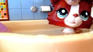 Littlest Pet Shop: Shower - Music Video (Happy 4th Of July)