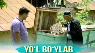 Сижжак маҳалласи томон йўл бўйлаб | Yo'l bo'ylab