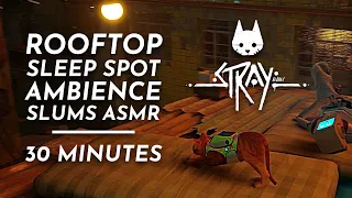 Stray - Rooftop Sleep Spot || Cat Purring, City Ambience & ASMR - 30 Minutes