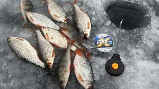 Рыбалка для души 9 февраля 2022! Нашел одну лунку и пошла жара! fishing and hunting!