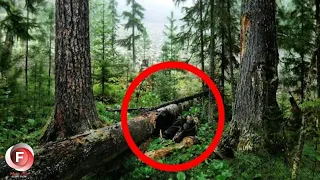 What This man found in the forest, he was afraid to tell even his wife.That changed his life Forever